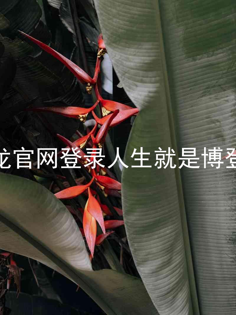 尊龙官网登录人生就是博登录